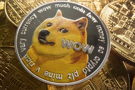 Dogecoin Foundation tiết lộ kế hoạch phát triển của DOGE vào năm 2022