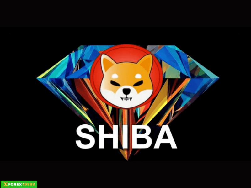 Shiba coin là gì